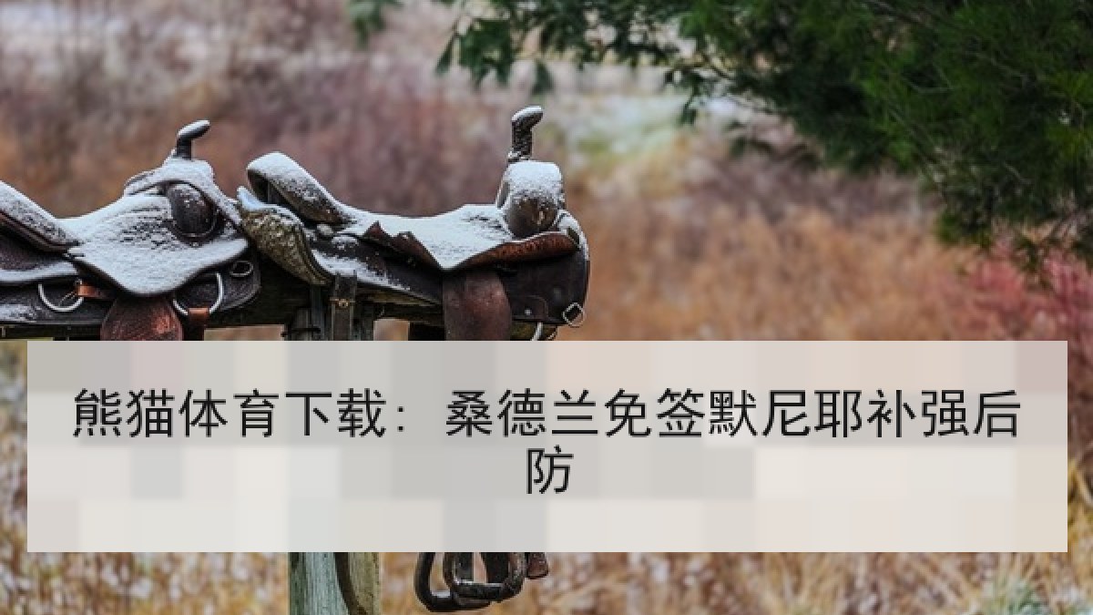 熊猫体育下载: 桑德兰免签默尼耶补强后防 熊猫体育下载: 桑德兰免签默尼耶补强后防